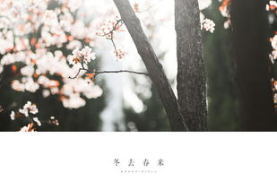 冬去春来是成语吗