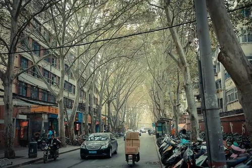 南岸区桃源路在哪里办营业执照