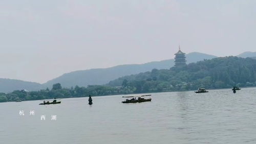毕竟西湖六月中 风光不与四月，毕竟西湖六月中这首诗表达了诗人什么样的思想感情