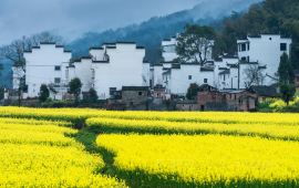 江西婺源天气预报