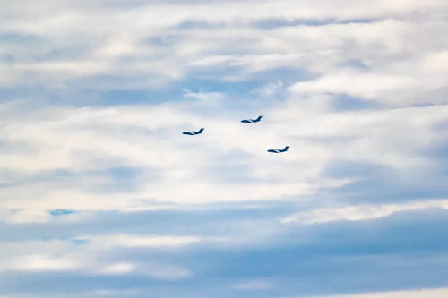 “晴空一鹤排云上,便引诗情到碧霄。”