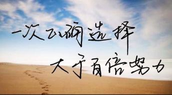 各有所爱上一句是啥