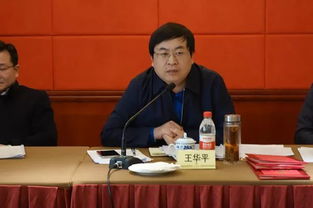 王华平简介，王华买爹回龙传全集
