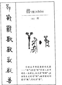 曾拼音怎么读，寰拼音