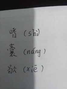 囊的拼音