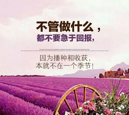营养早餐说说朋友圈简短，给女儿做早餐说说朋友圈简短