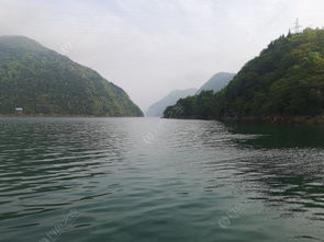 在五峰的天气骑车在公路上快速驶过以后路两边的树叶会随之飘动如图所示