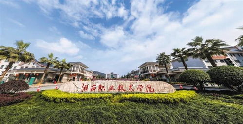 湘西大学是一本嘛