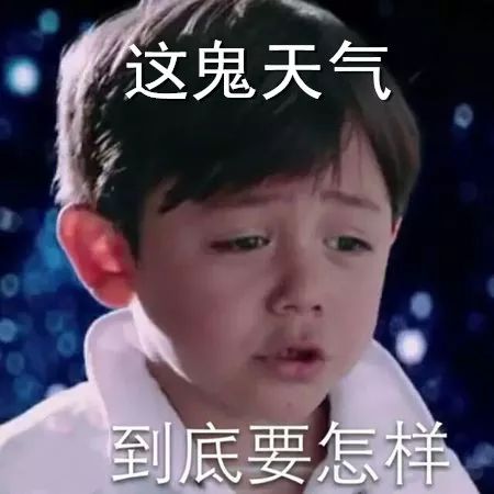 玉林博白哪里最适合看英仙座流星雨,速度12号前答,要详细