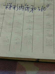 梯形的内角和是多少?