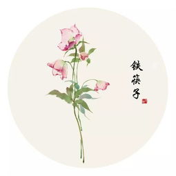 妺的拼音怎么读，妺的拼音字母
