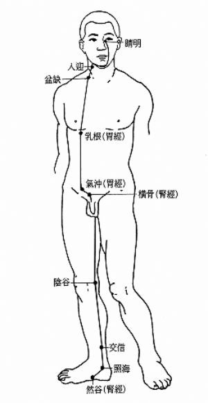 传统中医的脏腑经络学说七--8阴维脉阳维脉