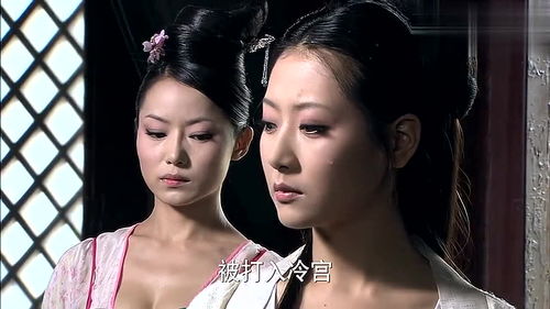 凰图腾风燕身世