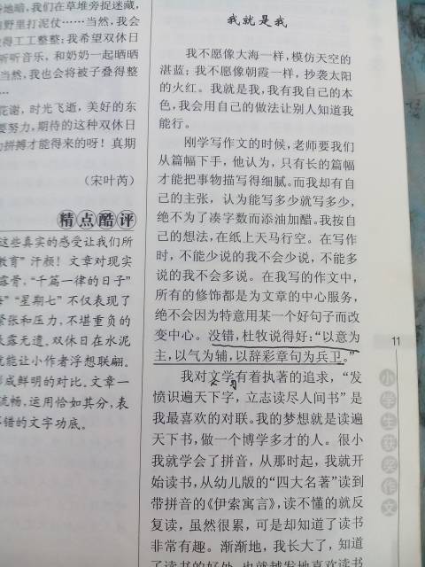这就是我作文500字范文6篇
