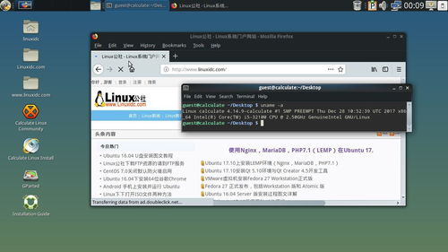 calculate是什么意思