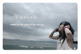 有一句歌词"我听见海哭的声音"的一首歌,是谁的什么歌啊?