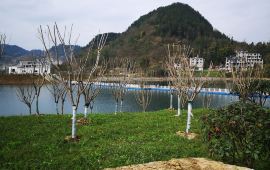 德江天气15天查询，德江天气预报15天查询百度百科