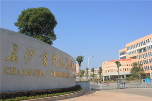 长沙商贸旅游职业技术学院分数线
