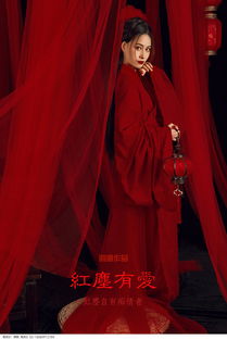 红装小说免费，红装素裹分外妖娆