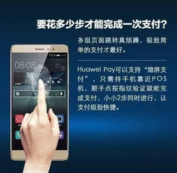 pay的用法与搭配