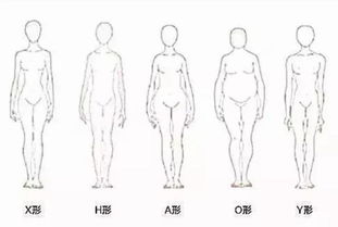 怎么判断自己是什么体型的身材