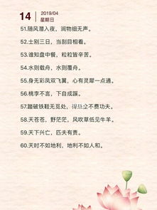 积累的名言