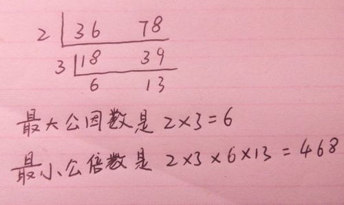 两个数互质是什么意思