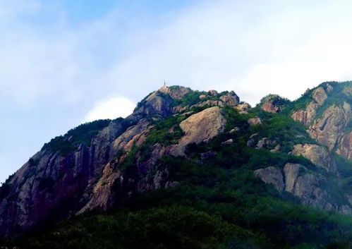 金鸡山公园景点介绍，金鸡山图片