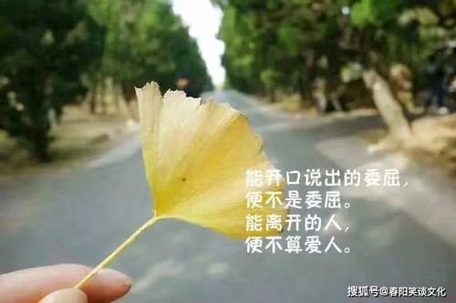 沁人心肺的意思
