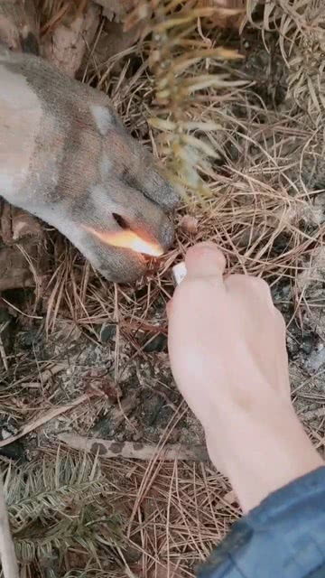 火上浇油的意思是什么 火上浇油造句 近义词反义词
