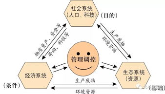可持续发展的含义是什么
