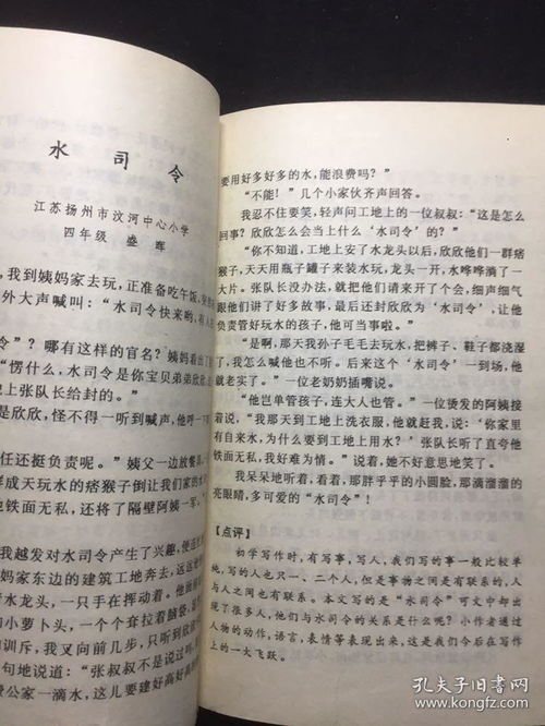 小学作文500字