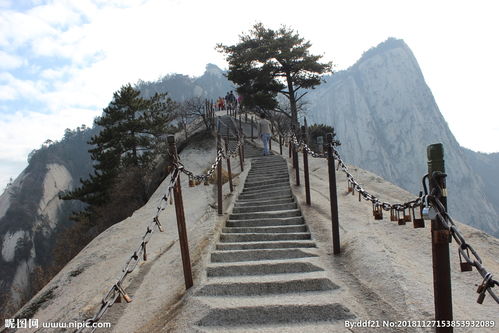 自古华山一条路的意思，自古华山一条路全诗句