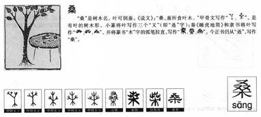 桑的形近字并组词?