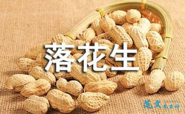 《落花生》读后感