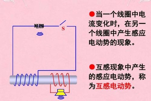 互组词有哪些词语?