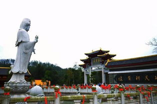 广西的区划调整,玉林地区的1个县,为何升格成地级市?