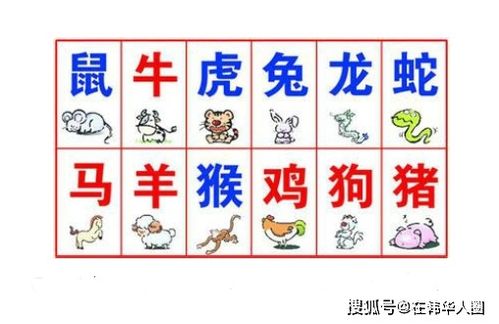十二属相婚配顺口溜，属鼠和十二属相婚配