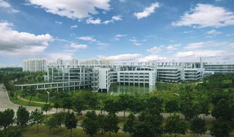 东莞理工职业学院是本科吗，东莞理工职业学院是正规学校吗