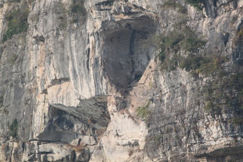 箱子岩读后感，箱子岩阅读理解