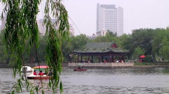 南湖公园在哪里，南湖公园占地面积