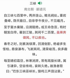 虽乘奔御风,不以疾也。是什么意思
