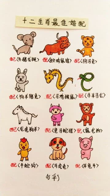 十二生肖的婚姻配对