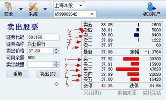 详细的意思