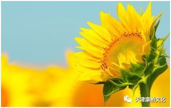 哗笑的拼音