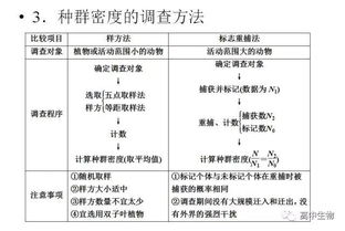 种群是什么