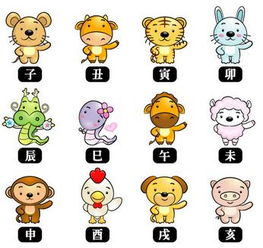 十二生肖的英语是什么?