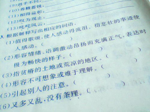 词语解释在线查，词语解释大全100个