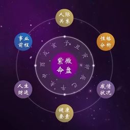 紫府朝垣格女命