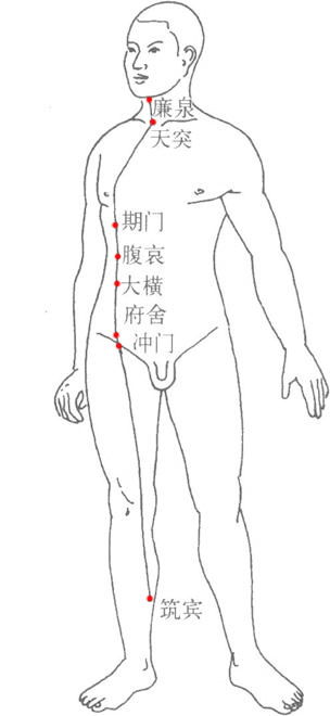 阴维脉的作用与功效，阴维脉的准确走向位置图片